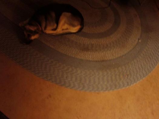 376015_10150473013379441_21157034_n